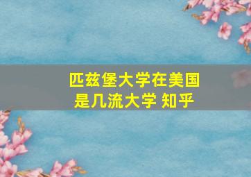 匹兹堡大学在美国是几流大学 知乎